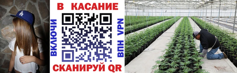 Где купить Певек A-PVP Галлюциногенные грибы Меф МАРИХУАНА Кетамин Cocaine