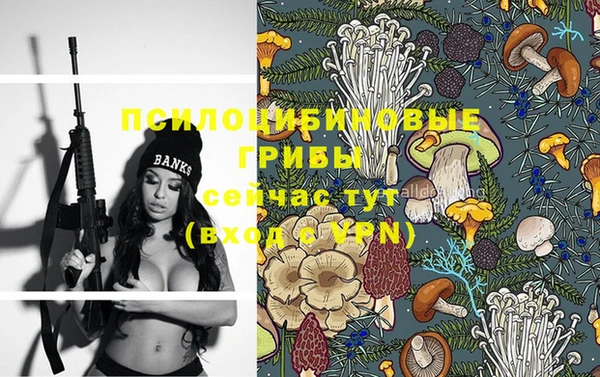 гашик Алексеевка