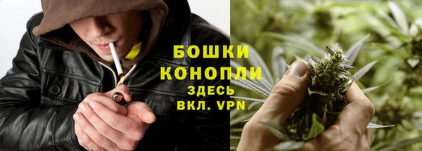 мет Богданович