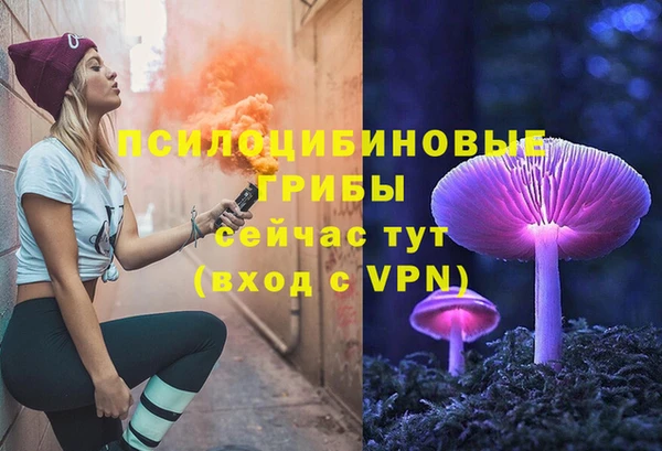 прущие грибы Богородицк